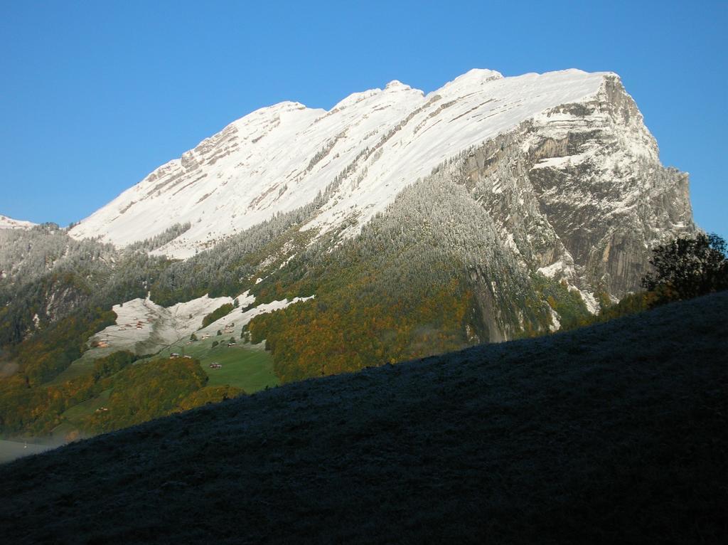 Haus Erna Schoppernau Hotell Rom bilde
